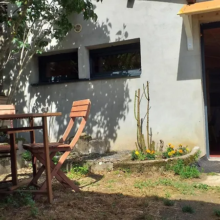 Apartment Avec Jardin Et Parking Proche Du Centre